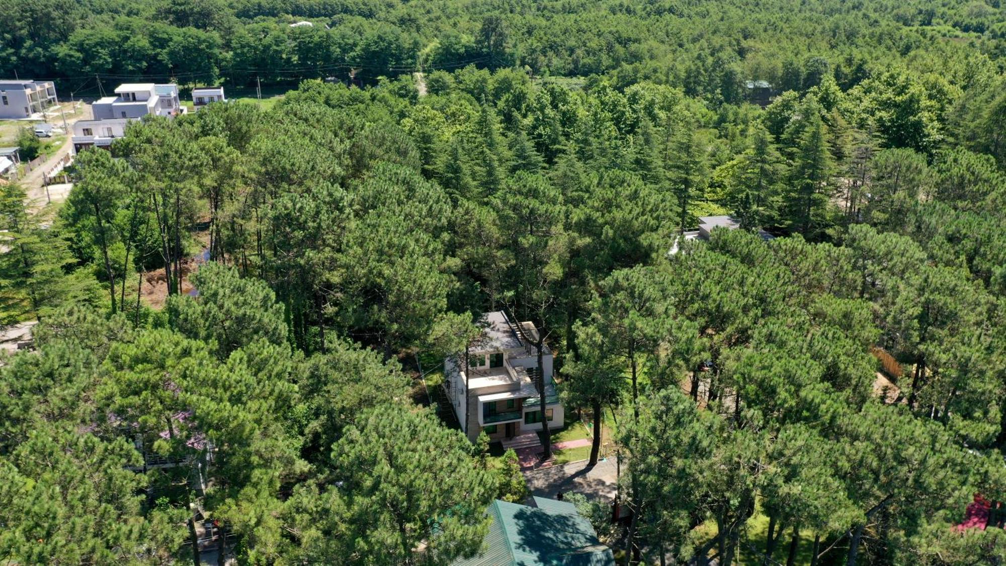 Pine Aparthotel Šekvetili Exteriér fotografie