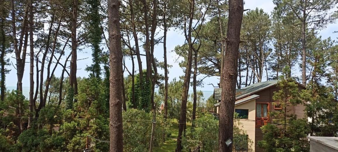 Pine Aparthotel Šekvetili Exteriér fotografie